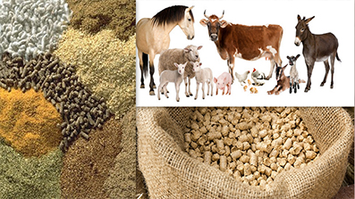 How to make dry animal feed into powder